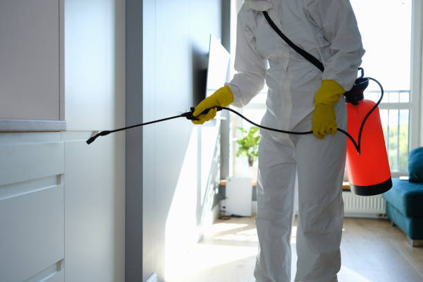Best Local Mold Removal Service  in Gibraltar, MI