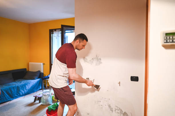 Certified Mold Removal in Gibraltar, MI